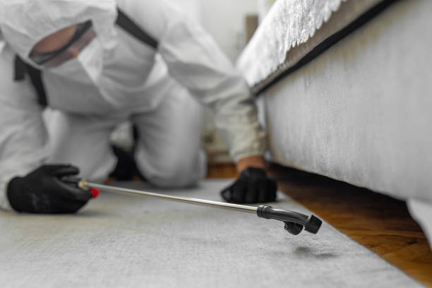 Professional Ant Control technician working in Kean University, NJ