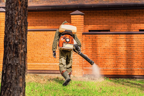 Trusted Termite Control service in Kean University, NJ - Nex Pest Control